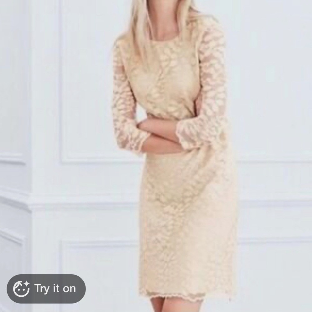 Garnet Hill Floral Lace Shift Dress Scalloped Hem Size 4 Cream Beige